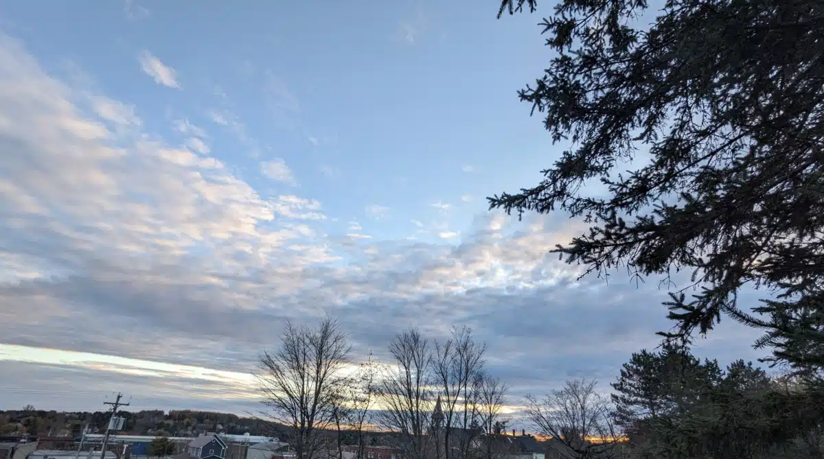 Healing Hearts LLC - Preview