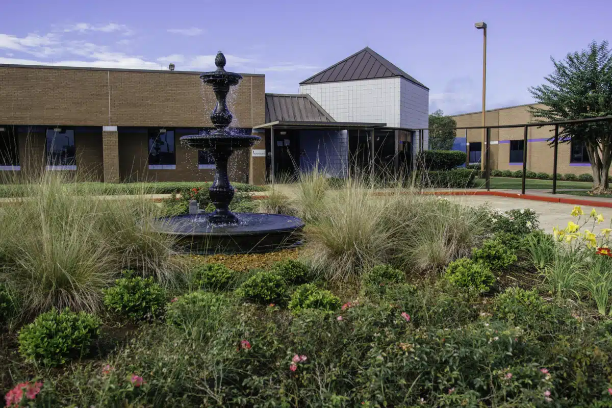 Louisiana Behavioral Health Services - Preview