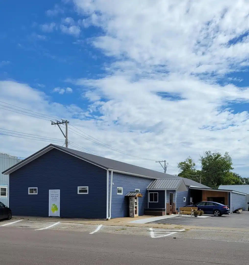 Schuyler County Mental - Preview